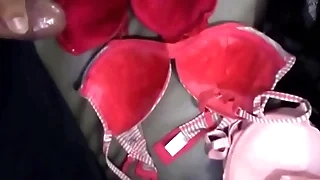 한국야동 변태 시리즈 - 차안 브래지어 위에다가 사정하는놈